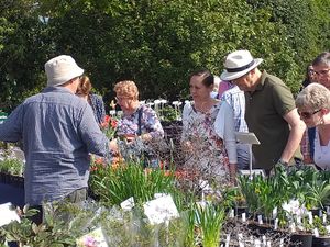 Supporting image for story: Easter Spring Plant Fair returning to Dorothy Clive Gardens for the first time in two years