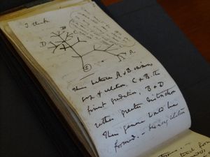 A page from one of two Darwin manuscripts. Photo: Cambridge University Library/PA Wire