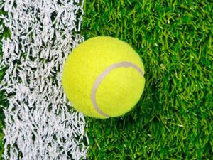 Supporting image for story: Wimbledon 2017: Is grass the most difficult surface to play on?
