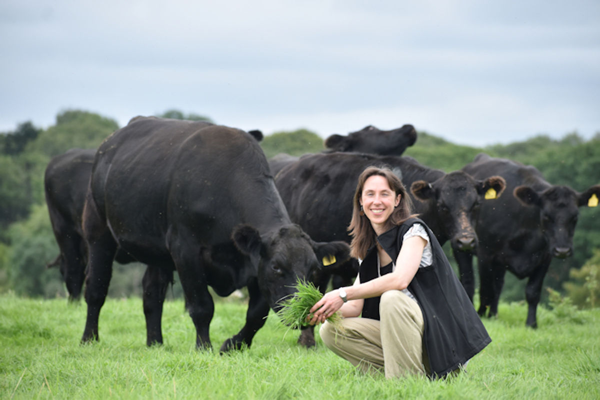 Shropshire organic farm to get a share of a £500,000 fund for eco work