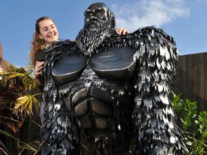 Supporting image for story: Part Darwin, part gorilla: Theory of evolution becomes work of art