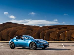 Supporting image for story