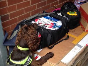 Supporting image for story: Fake cigarettes worth £29k seized in West Bromwich raids
