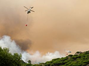 Supporting image for story: Thousands evacuated as wildfires rage across Spain during scorching heat wave