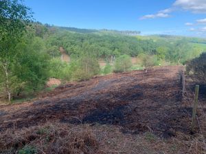 Supporting image for story: Four fire crews sent to Cannock Chase after latest arson attack