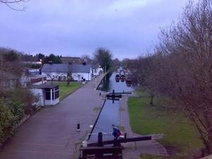 Supporting image for story: Hundreds of dead fish found in Wolverhampton canal