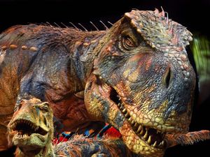 Supporting image for story: Tyrannosaurus rex youngsters may have wiped out medium-sized dinosaurs – study