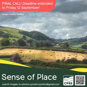 Photo: Looking West from Clun Castle