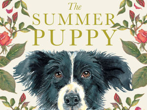 Supporting image for story: A book launch event for ‘The Summer Puppy’, a children’s book by Jackie Morris and Cathy Fisher will take place at a gallery near Kington