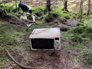 An unusual item discarded in the forest. Picture: Mat Edwards