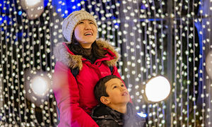 Chester Zoo has revealed its plans for its spectacular winter light trail.