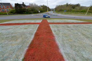 A St George's flag dyed into the grass in Telford