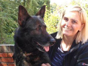 Supporting image for story: Stabbed police dog returns to training