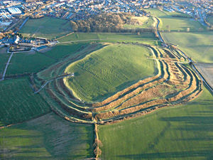 Supporting image for story: 500 species recorded: Why Oswestry's ancient hillfort is a hive of wildlife activity