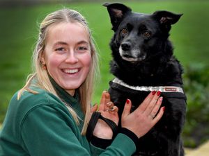 Supporting image for story: Animal rescue centre appeals to find 'sweet' collie Rosie a forever home after eight years of no interest