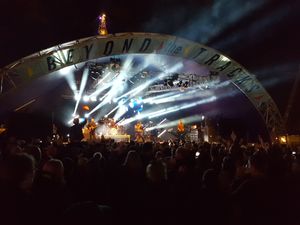 Supporting image for story: Ocean Colour Scene, Maximo Park, The Coral, The Twang: Day two at Birmingham’s Beyond The Tracks festival - with pictures