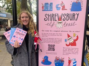 Supporting image for story: Christmas elves on the loose in Shrewsbury in latest festive family fun