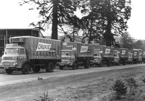 A line up of Chukie lorries.