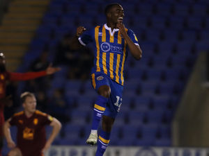 Supporting image for story: Shrewsbury Town forward Fejiri Okenabirhie hoping to push on after Checkatrade Trophy hat-trick