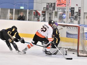 Supporting image for story: Rampant Tigers in 12-goal rout