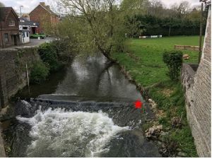 Supporting image for story: Fish pass planned for weir on the river Teme 