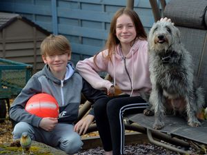 Supporting image for story: Border pupils face different timetables for school return