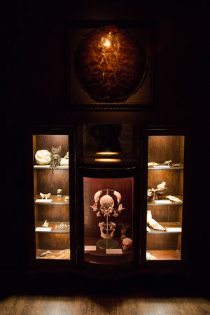 Anatomists Study. Photo by: Edison Graff