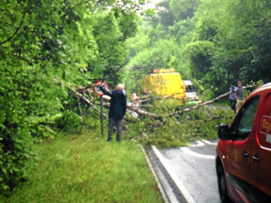 Supporting image for story: Drivers delayed as tree branch blocks road in heavy rainfall