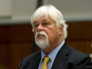 Supporting image for story: Greenland court orders anti-whaling activist must remain in custody