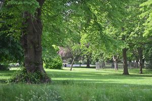 The green, Tettenhall.