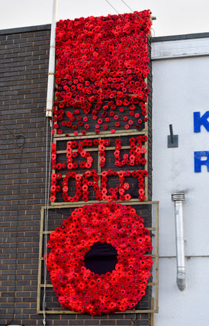 The knitted poppies display runs down the wall of Kingswinford Royal British Legion