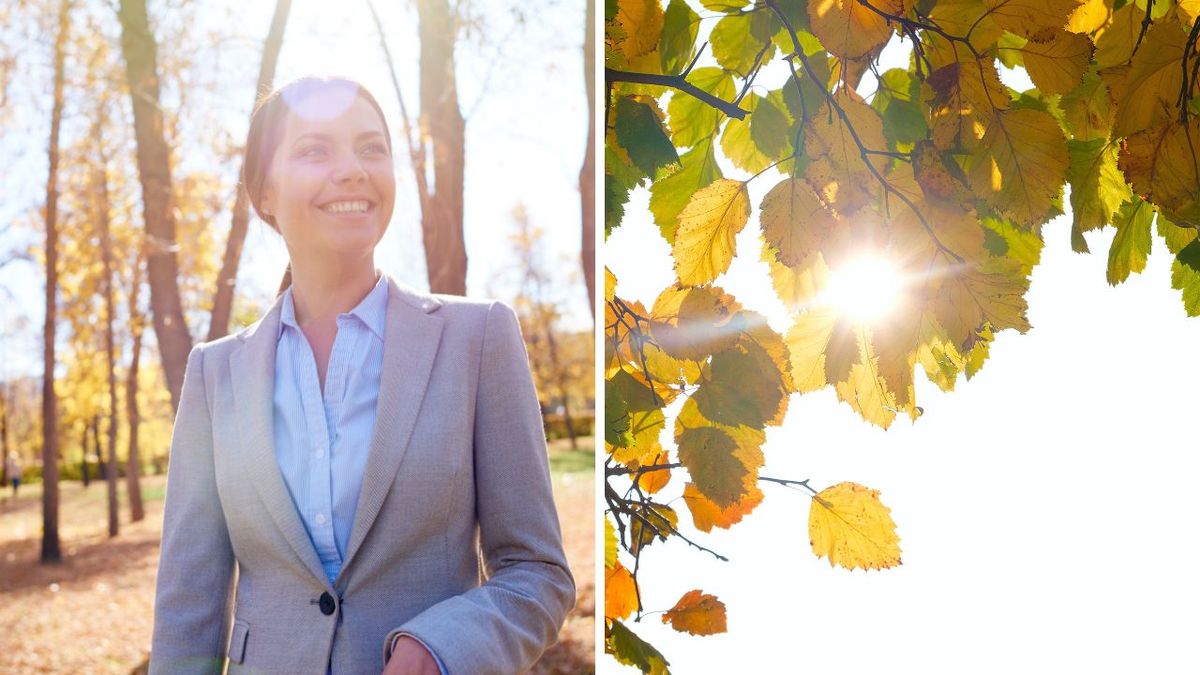 West Midlands to see period of autumnal warmth - what is the weather forecast for the West Midlands this week?