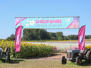 Supporting image for story: Organisers reveal when spectacular petal event dates will be confirmed