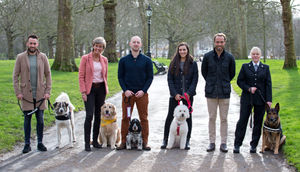 The Friends For Life finalists at Crufts 2020