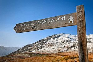 Supporting image for story: Path to escapism