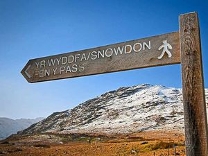 Supporting image for story: Path to escapism