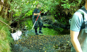 A screengrab taken from a video, captured on a wildlife camera showing people walking through a protected stream.