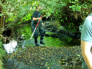 Supporting image for story: Mid Wales farmers in legal challenge against energy company behind major pylon plans