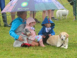 Supporting image for story: Open day and dog show pulls crowds to Cuan Wildlife Rescue 