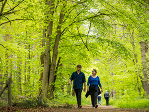 Supporting image for story: The 8 best places in the county to walk your dog according to Shropshire Star readers
