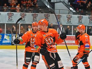 Supporting image for story: Telford Tigers tamed as Wildcats power through to final