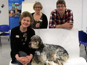Supporting image for story: New specially designed reading bench opened at Walsall's central library