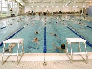 Supporting image for story: Free swimming on the way