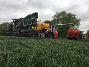 Supporting image for story: Full of beans back on the farm 