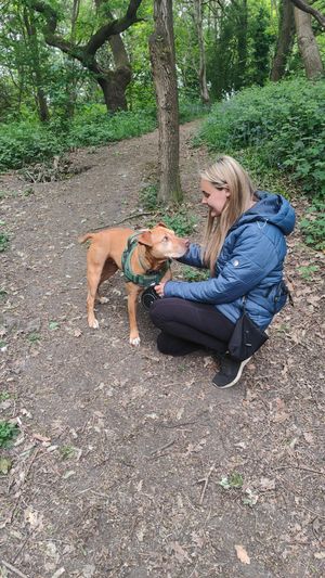 Inseparable: Spicer and Sophie are the best of friends