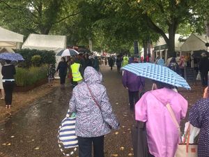 Supporting image for story: Shrewsbury Flower Show: Plant lovers pack Quarry despite grey skies