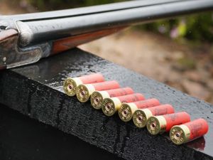 Supporting image for story: Lead in ammunition to be restricted to reduce toxic pollution