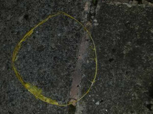 Supporting image for story: Chinese lantern sparks fire at house in Wolverhampton