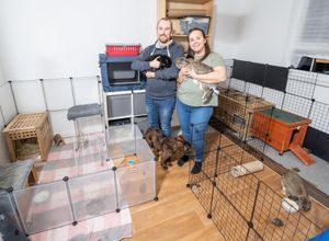 B&DWM - SGB-9414 - Gary and Natalies rabbits Geoff, George, and Lola enjoy their own room