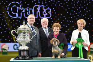 Maisie the Wire-haired Dachshund winner of Best in Show 2020 at the Birmingham National with her owner Kim McCalmont (centre right) and presenter Peter Purvis (centre left) at the Exhibition Centre (NEC) during the Crufts Dog Show